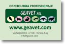 GEAVET.jpg
